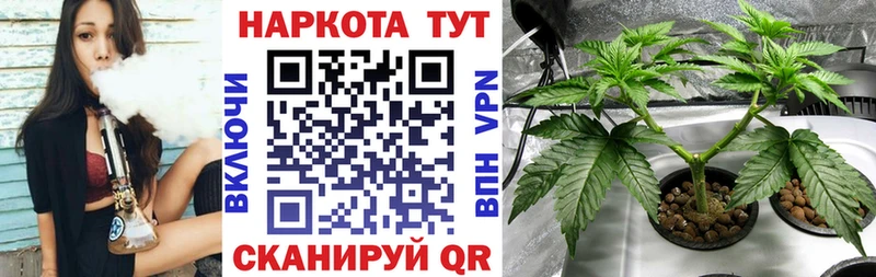 Где купить Каменногорск Alpha PVP  АМФЕТАМИН  ГАШИШ  Меф  Марихуана  КОКАИН 