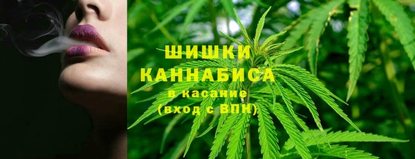 эйфоретик Бердск
